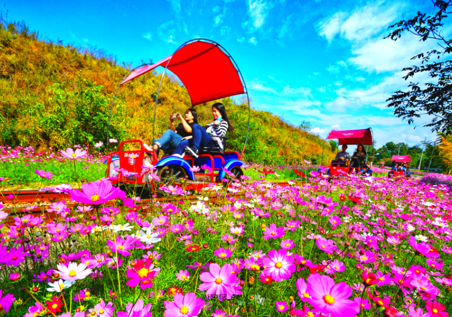 Gangchon Rail Park